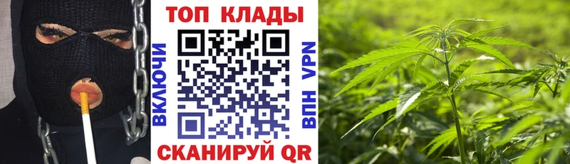 Купить закладку Егорьевск гидра как зайти  ГАШ  Амфетамин  COCAIN  СК 