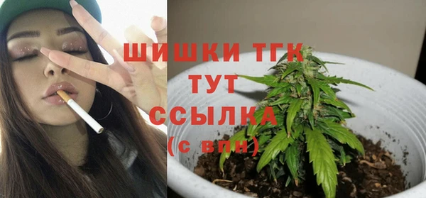 прущий лед Богданович