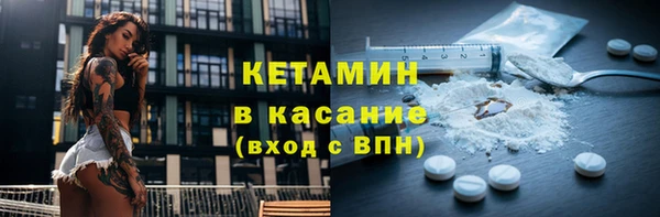индика Богородск