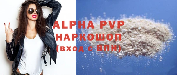 прущий лед Богданович
