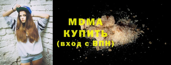 индика Богородск