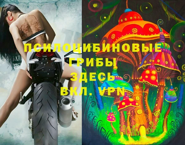 индика Богородск