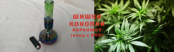 индика Богородск