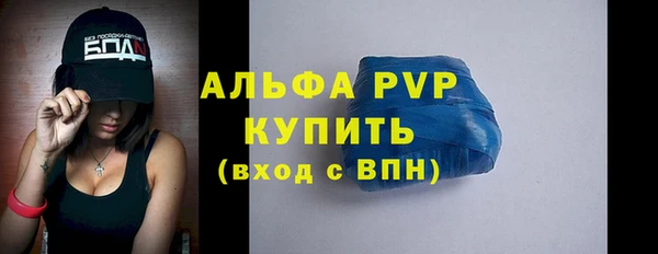 индика Богородск