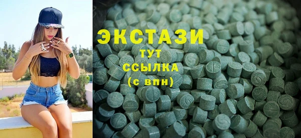 индика Богородск