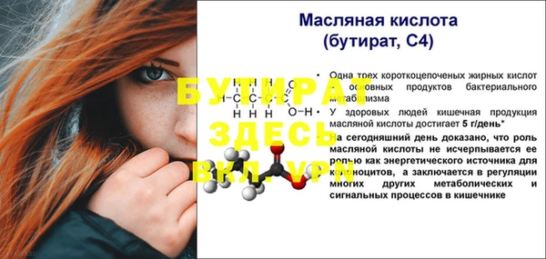 индика Богородск