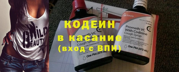 прущий лед Богданович
