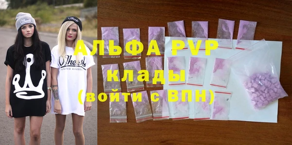 индика Богородск