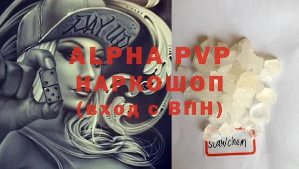 индика Богородск