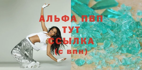 индика Богородск
