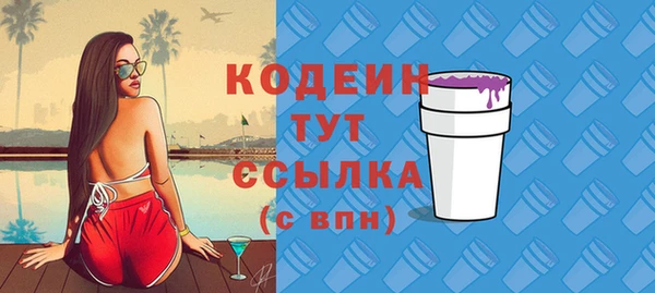 индика Богородск