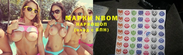 прущий лед Богданович