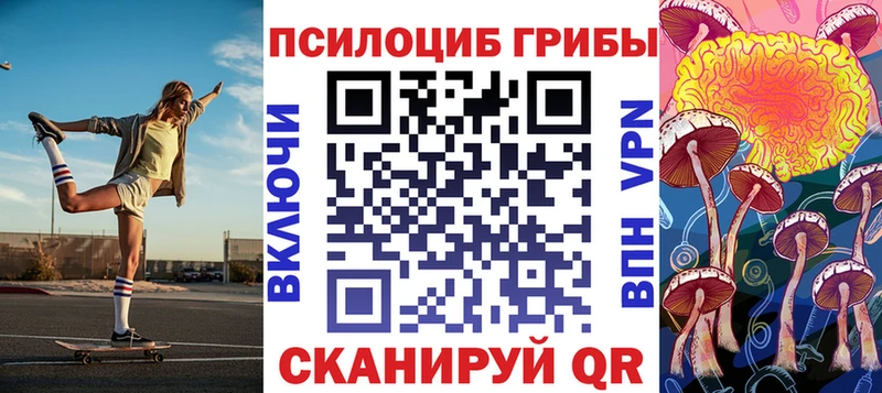 купить  сайты  Егорьевск  omg зеркало  Галлюциногенные грибы GOLDEN TEACHER 
